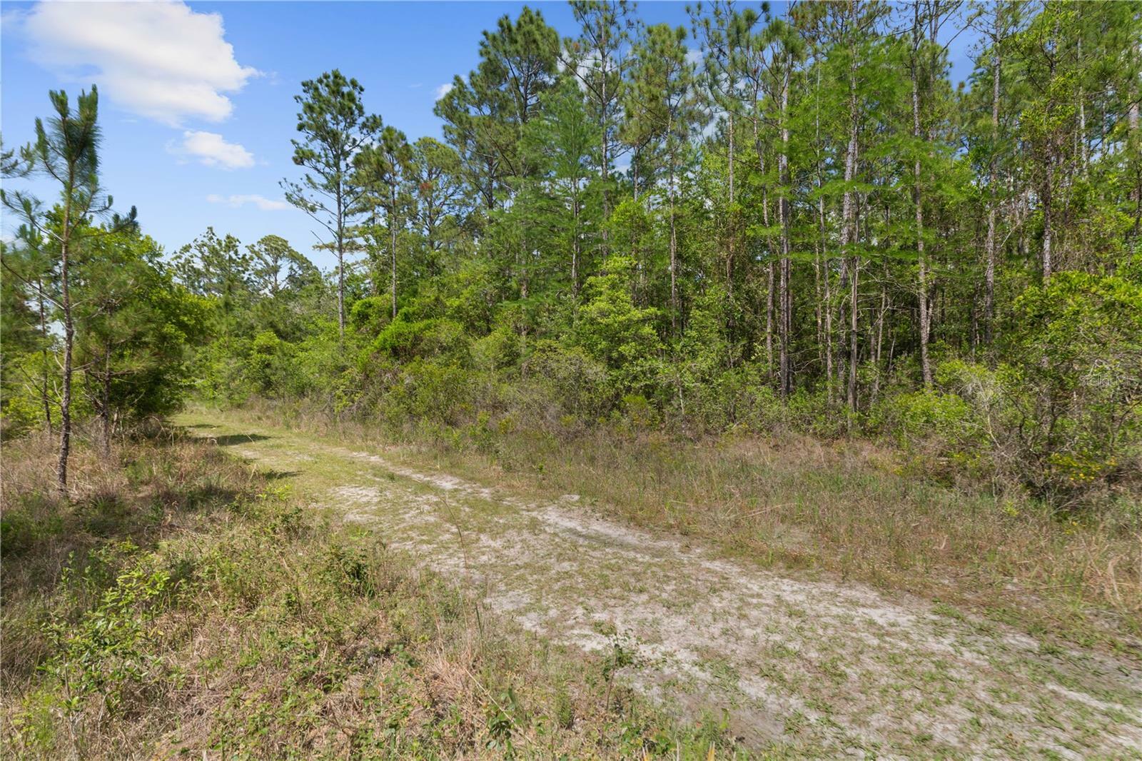Property Photo: Crotty Avenue FL 32145