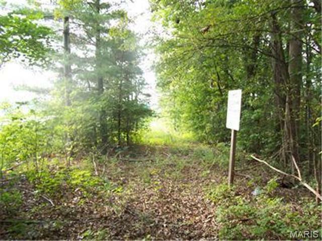 Property Photo: 0 Hunt Road MO 63640