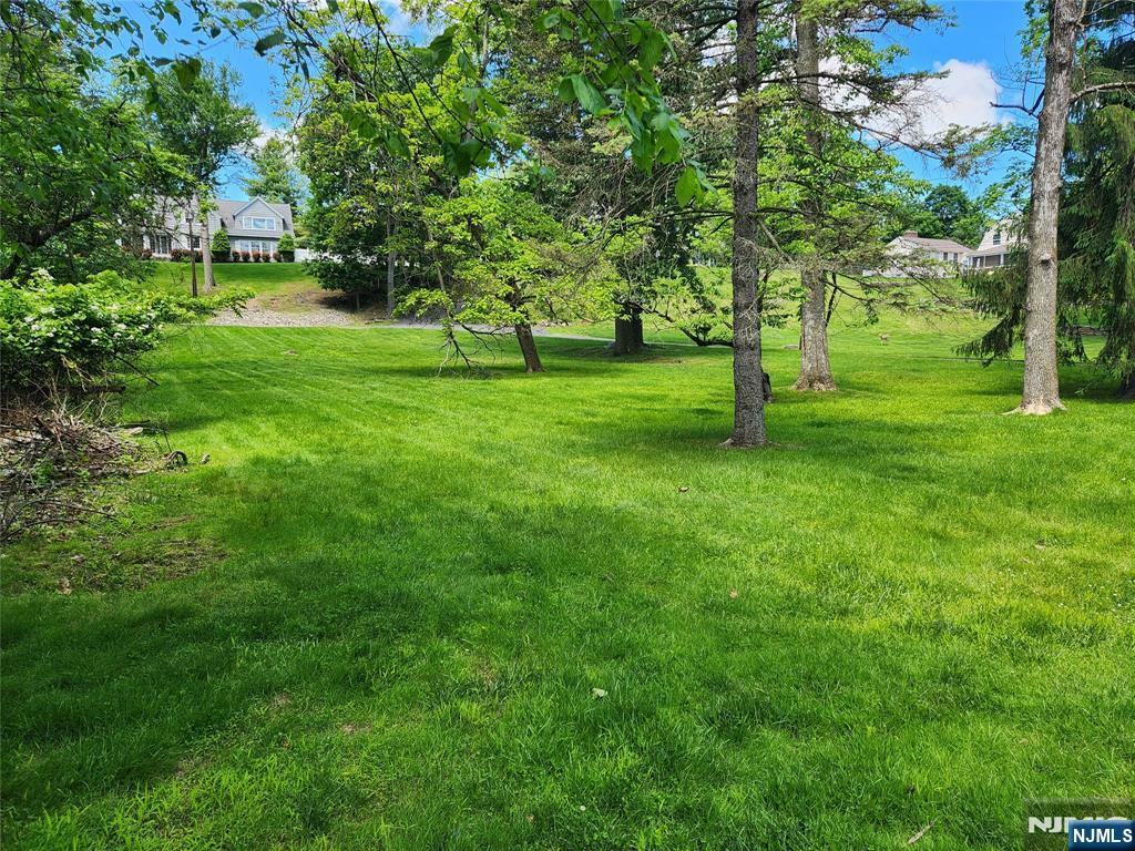 185 Wilmore Road  Little Falls NJ 07424 photo