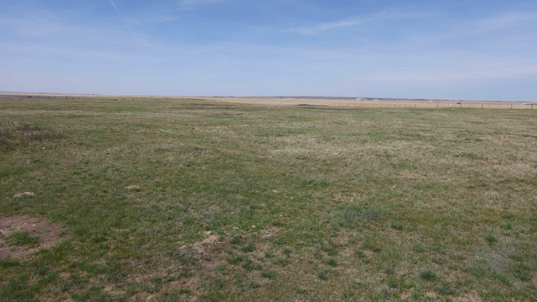 Property Photo: Vulcan County AB T0L 2B0