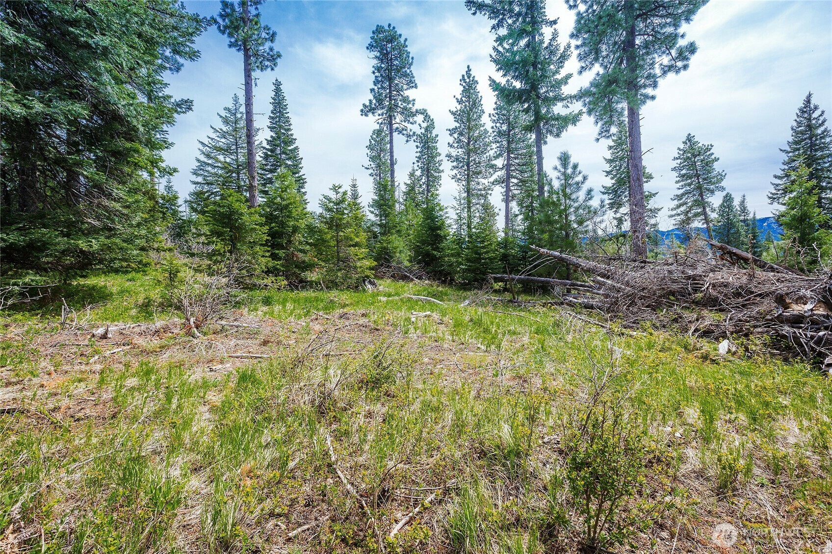0 Lot J  R&R Heights Drive  Roslyn WA 98941 photo