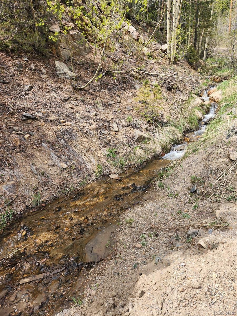 Property Photo:  Ute Creek Road  CO 80452 
