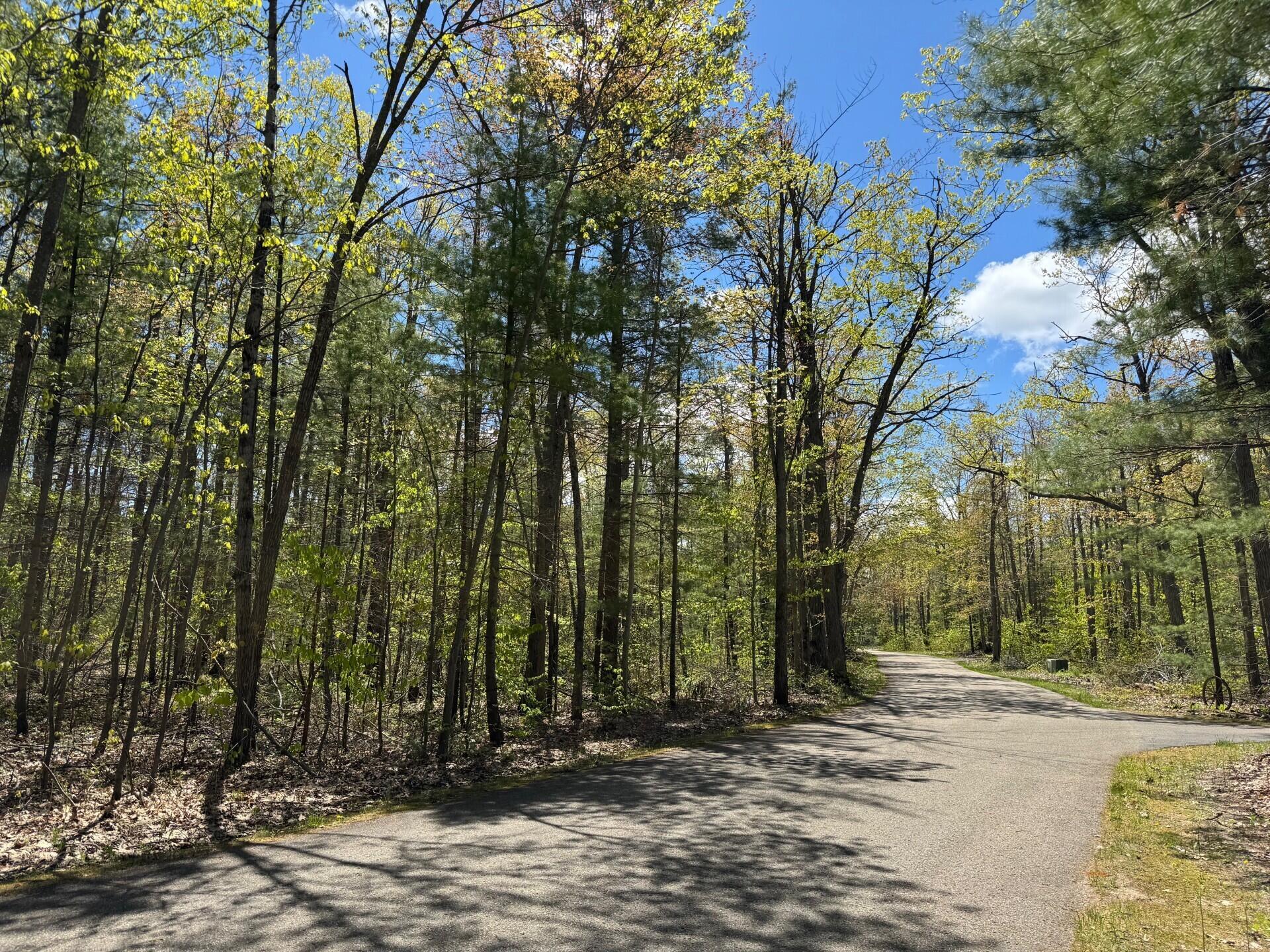 Property Photo: 000 Eastridge Drive MI 49735