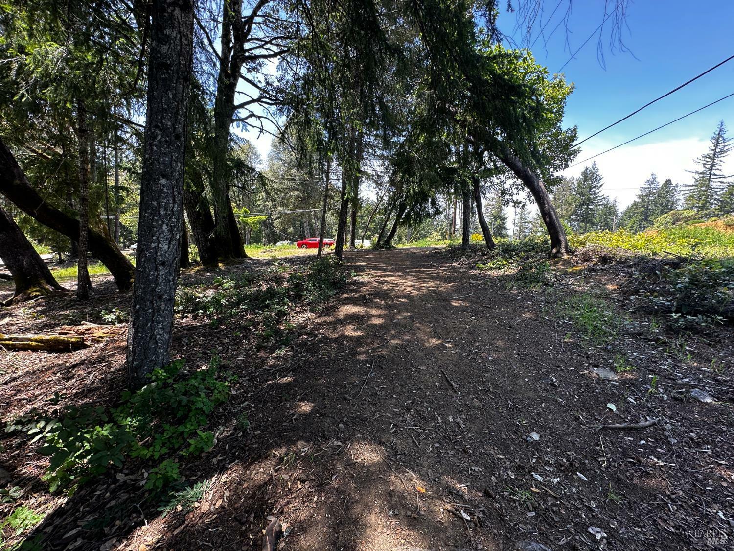 Property Photo: 25895 Madrone Drive CA 95490