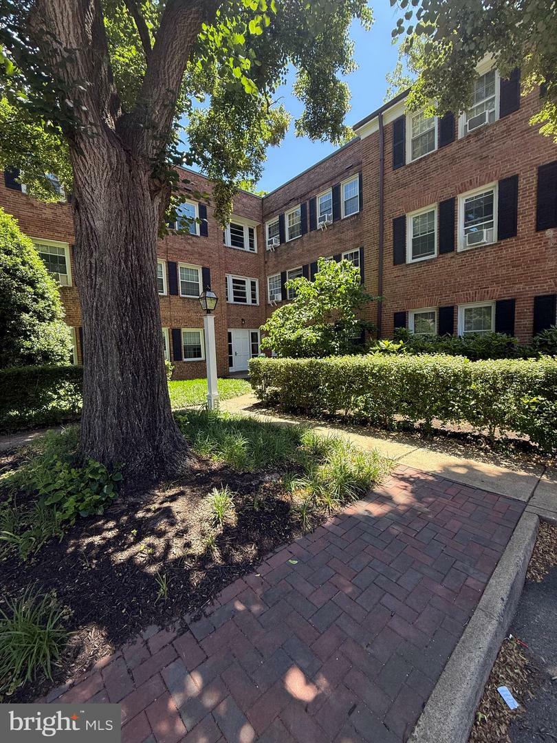 5104 Columbia Pike 6  Arlington VA 22204 photo