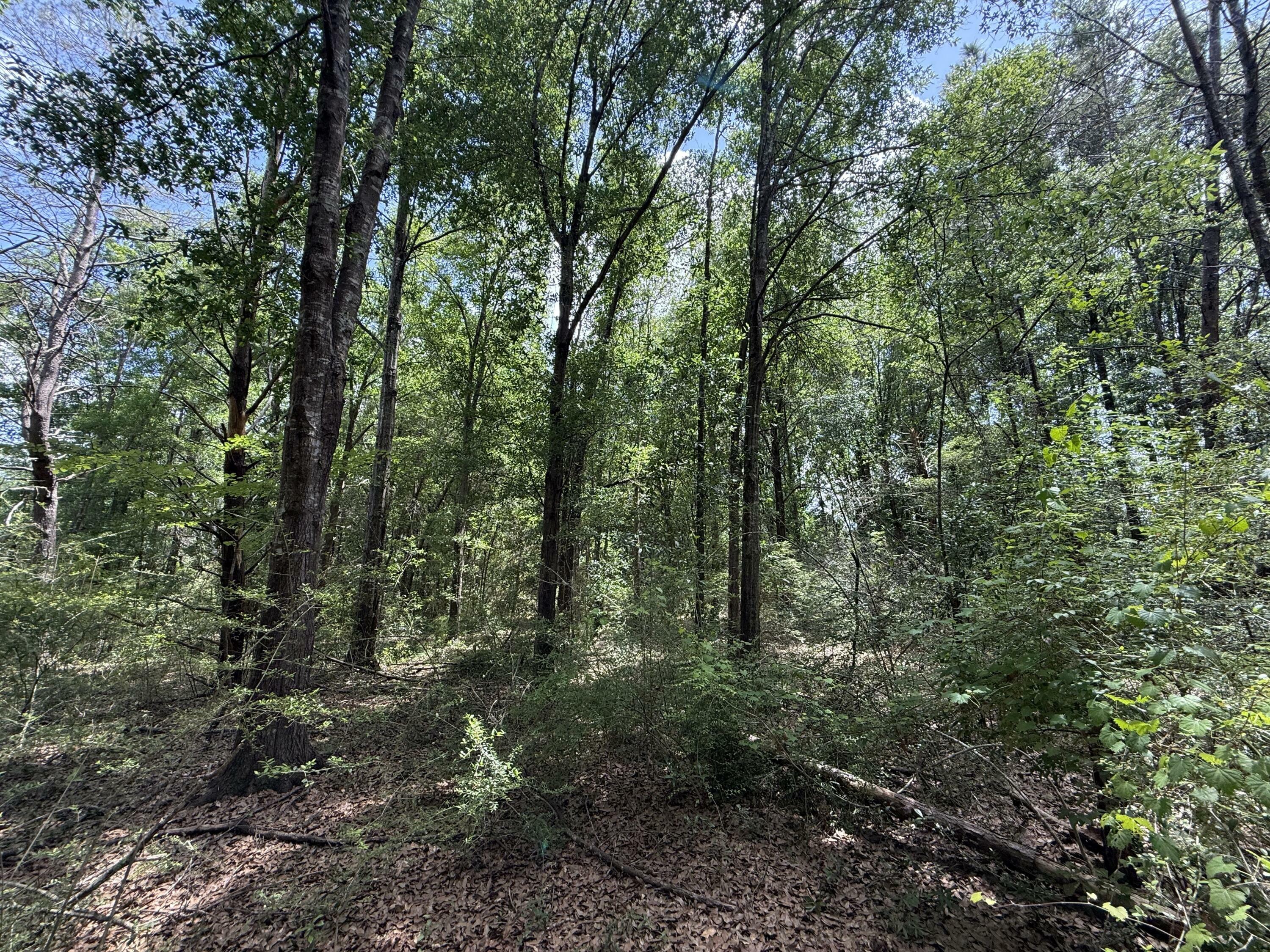Property Photo: Tbd US-90 FL 32563