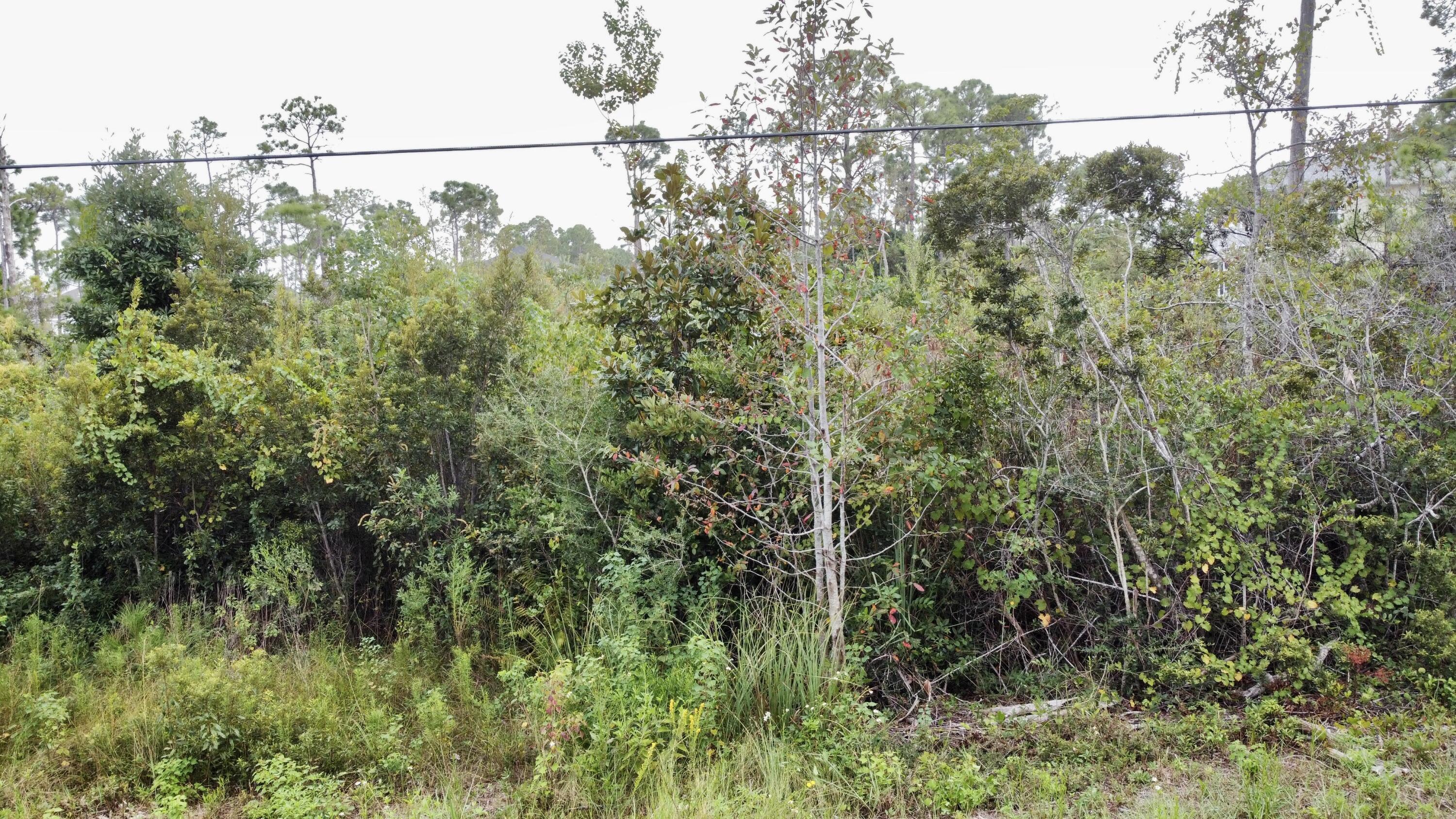 Property Photo:  Lot 38 W Casa Grande  FL 32459 