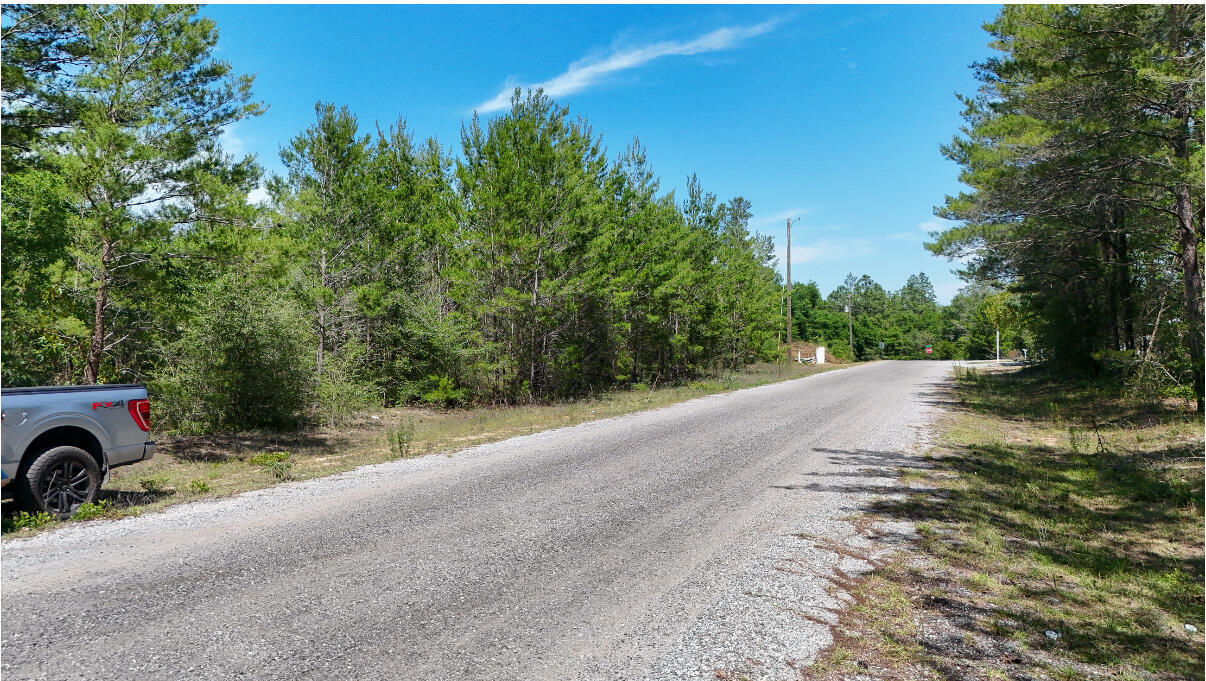 Property Photo: Tbd E Lafavre East Lane FL 32433