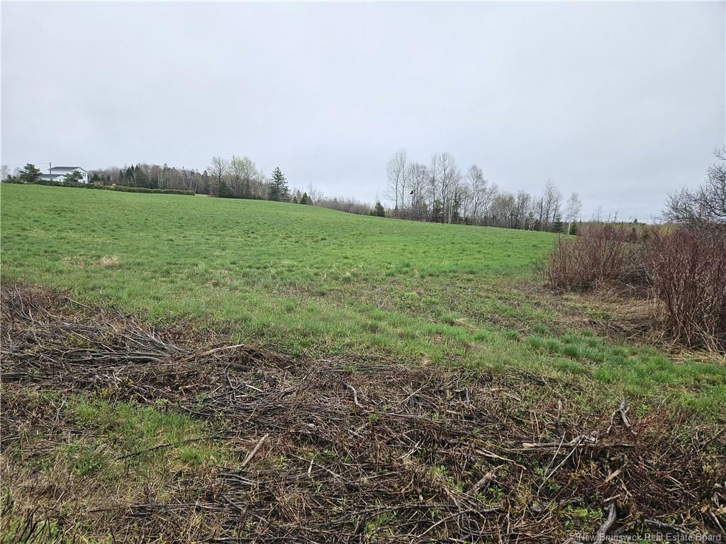 Property Photo:  Vacant Lot McKenna Road Road  NB E7N 1V5 