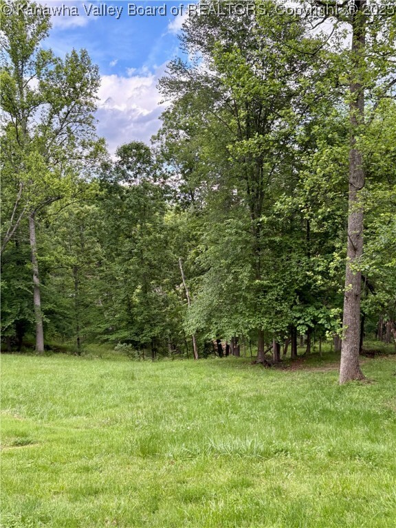 Lot 12 Crooked Creek Road  Scott Depot WV 25560 photo