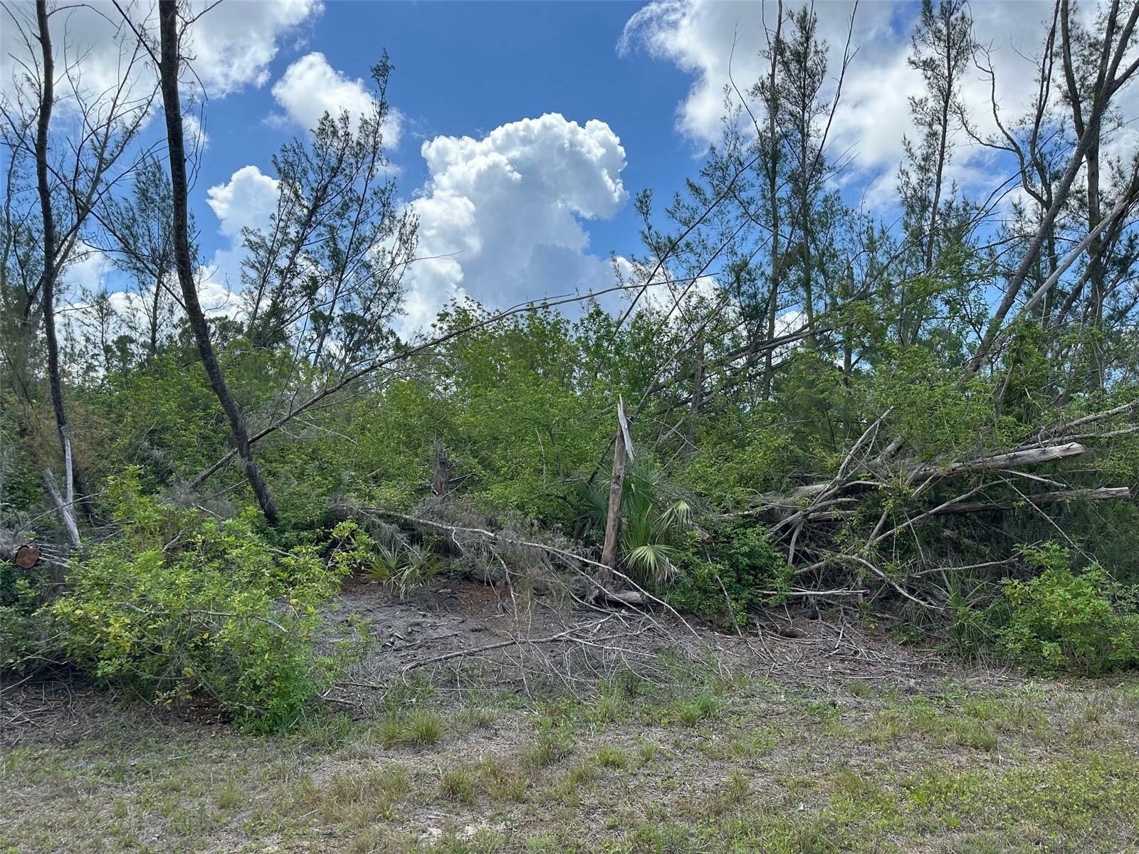 Property Photo: 10792 Hatchet Circle FL 33981