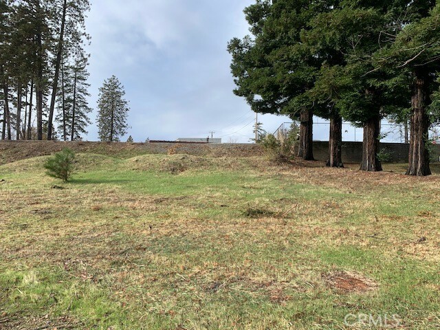 Property Photo: 0 Skyway CA 95969
