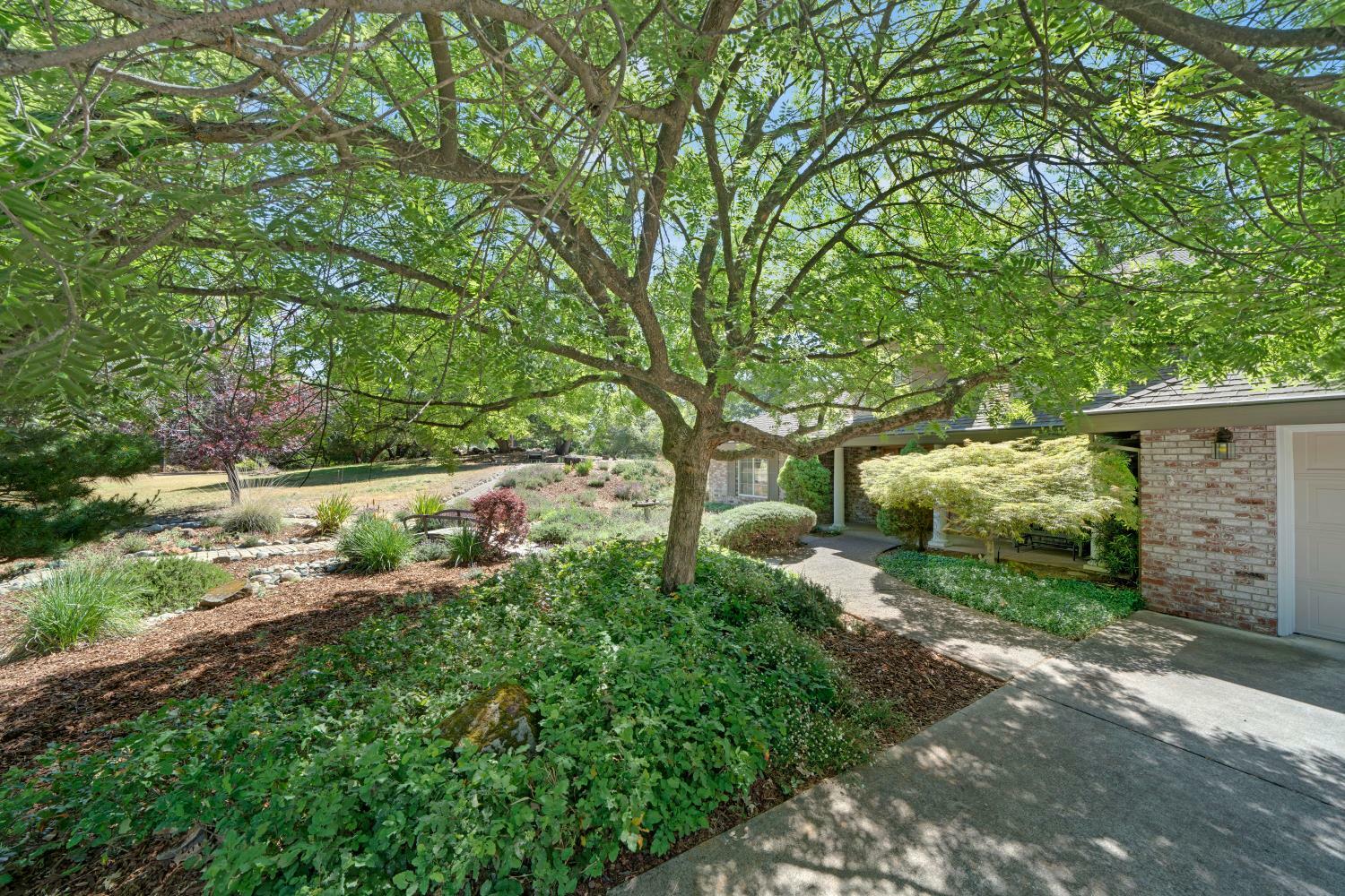 Property Photo: 3561 Paydirt Drive CA 95667