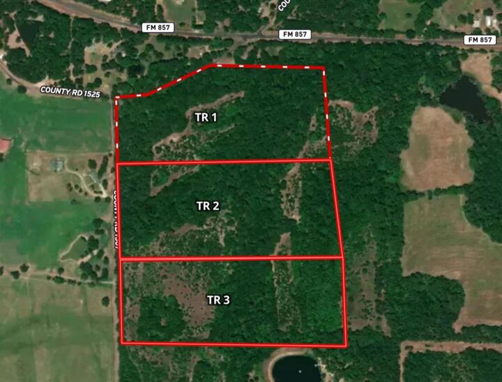 Tract 2 Tbd Vzcr 1507  Grand Saline TX 75140 photo