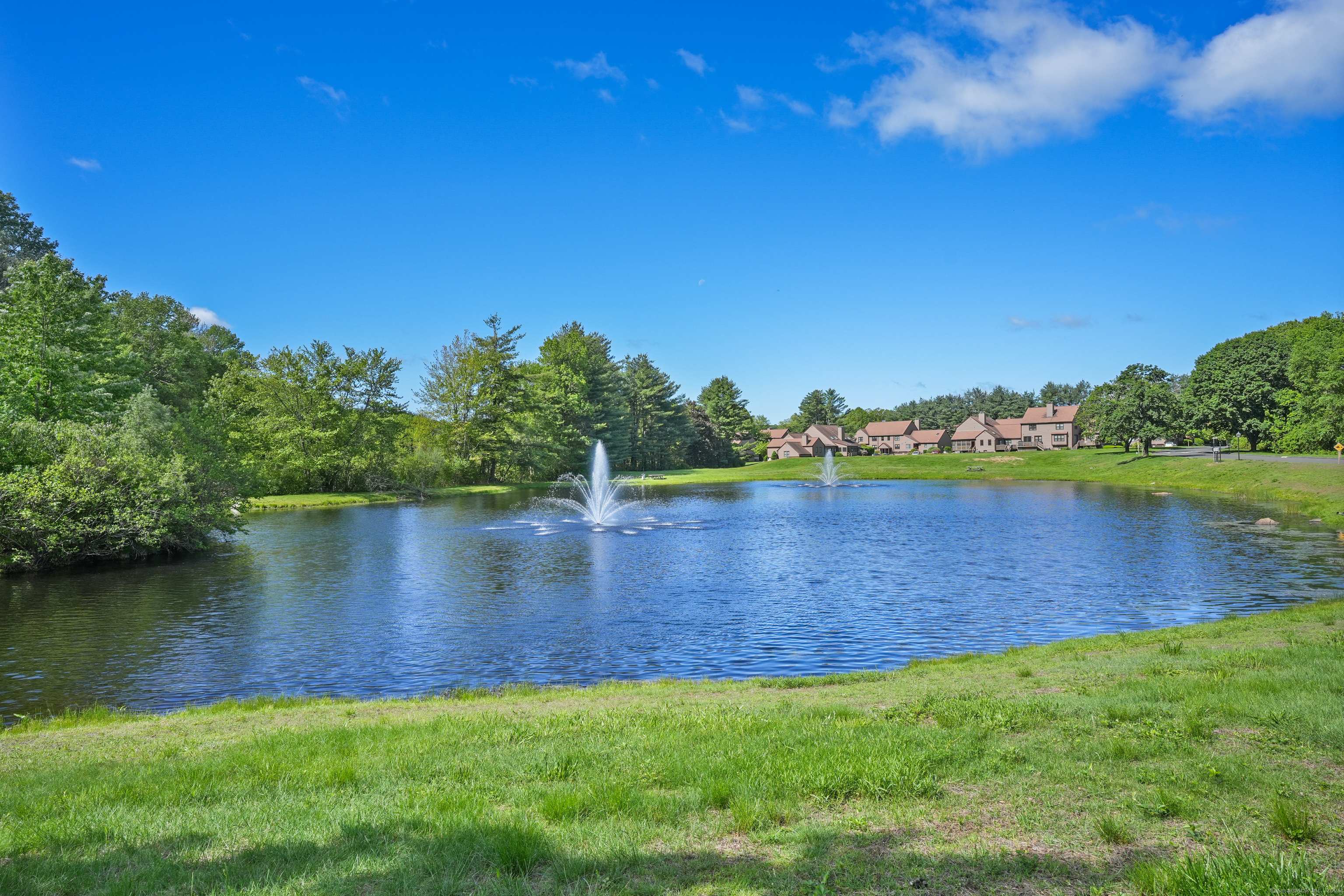Property Photo: 17 Hollow Tree Lane 17 CT 06468