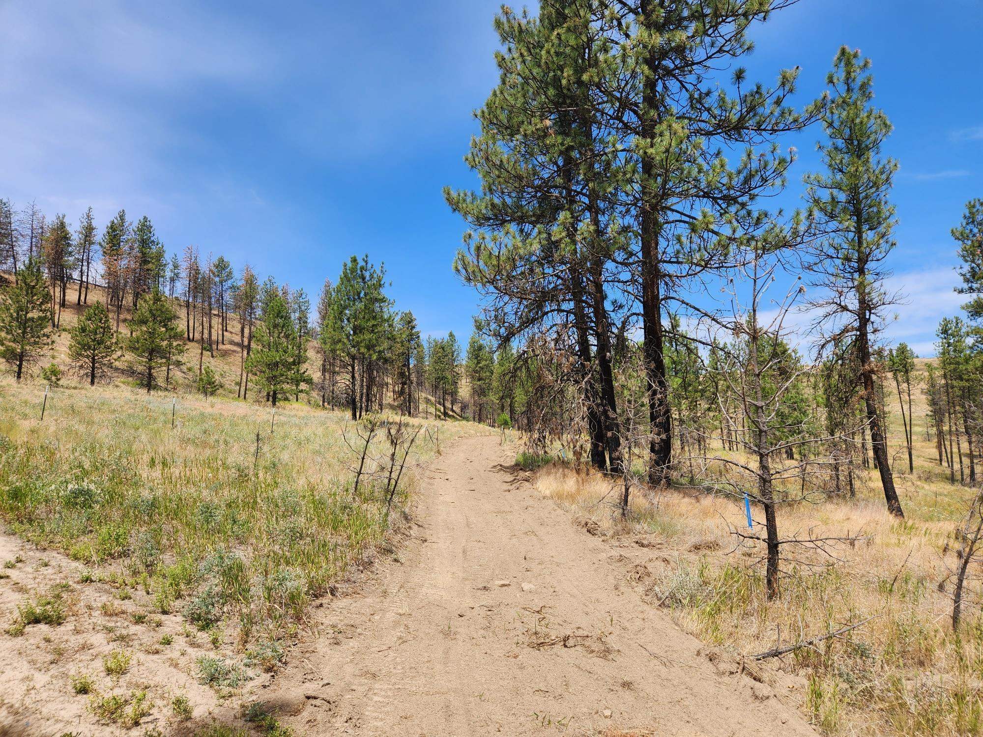 Property Photo: 31xyz Hawk Creek Ranch Rd WA 99122