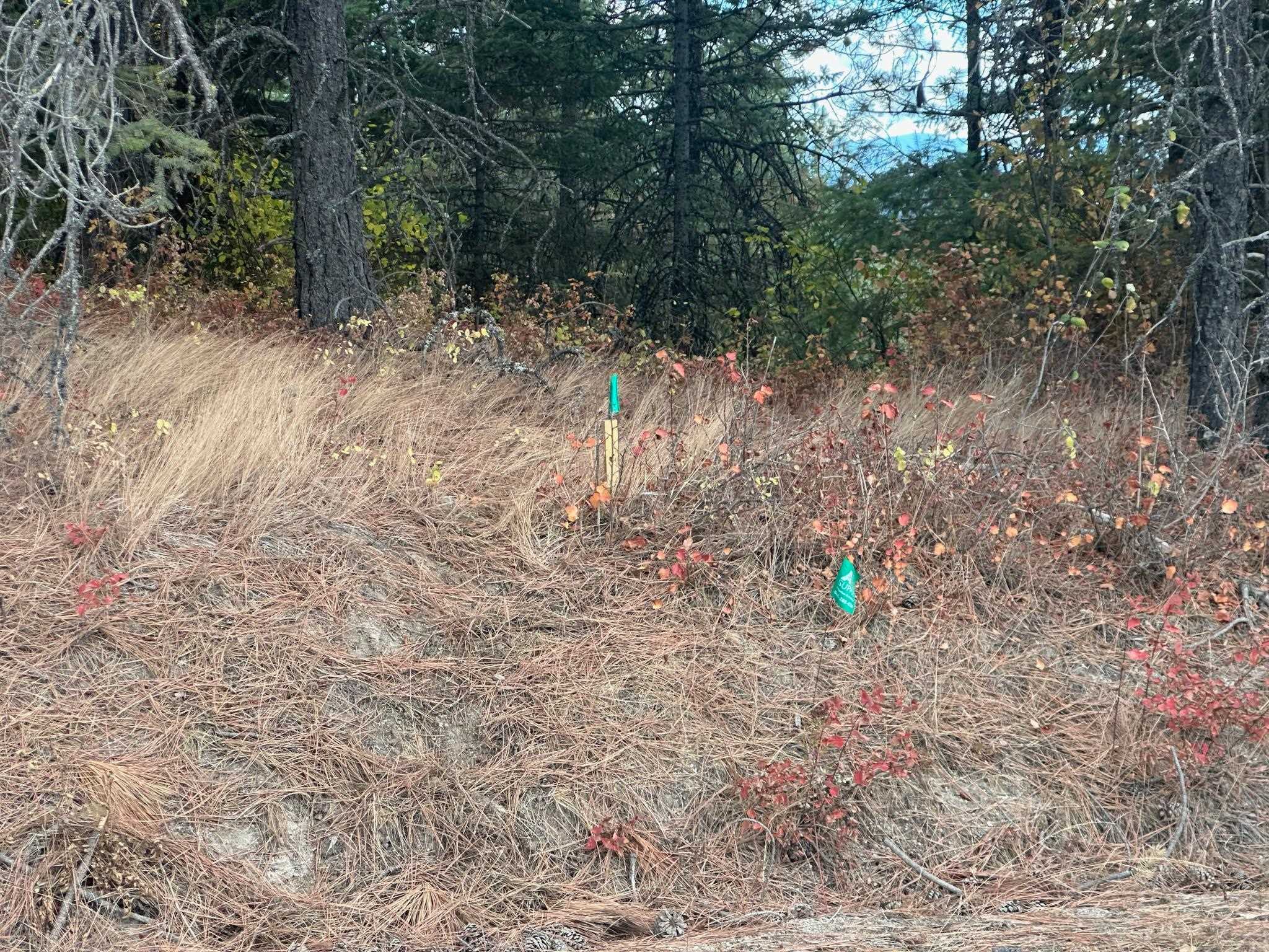 Property Photo: 4450 Buck Creek Rd WA 99148