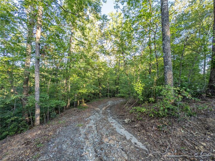 Property Photo: Lot 22 Old Shallowford Bridge Road SC 29685