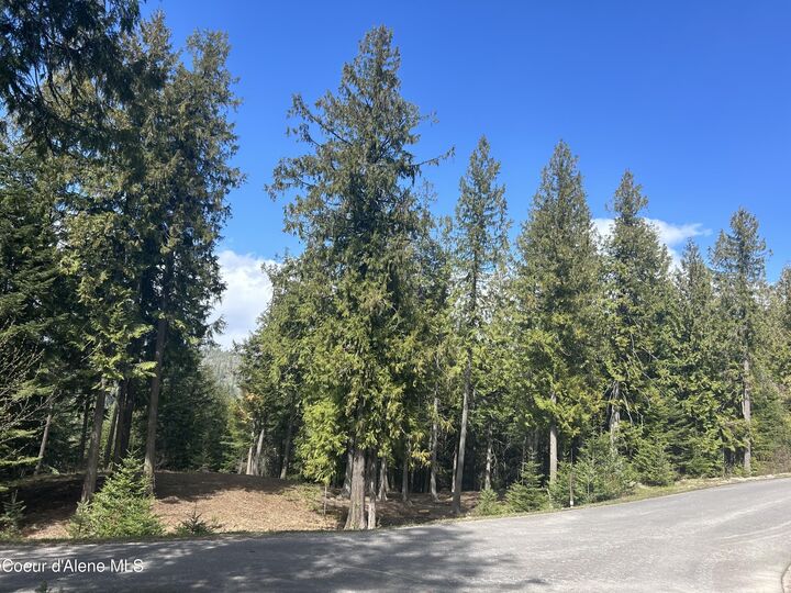 Property Photo: Lot 17 White Cloud Dr ID 83864