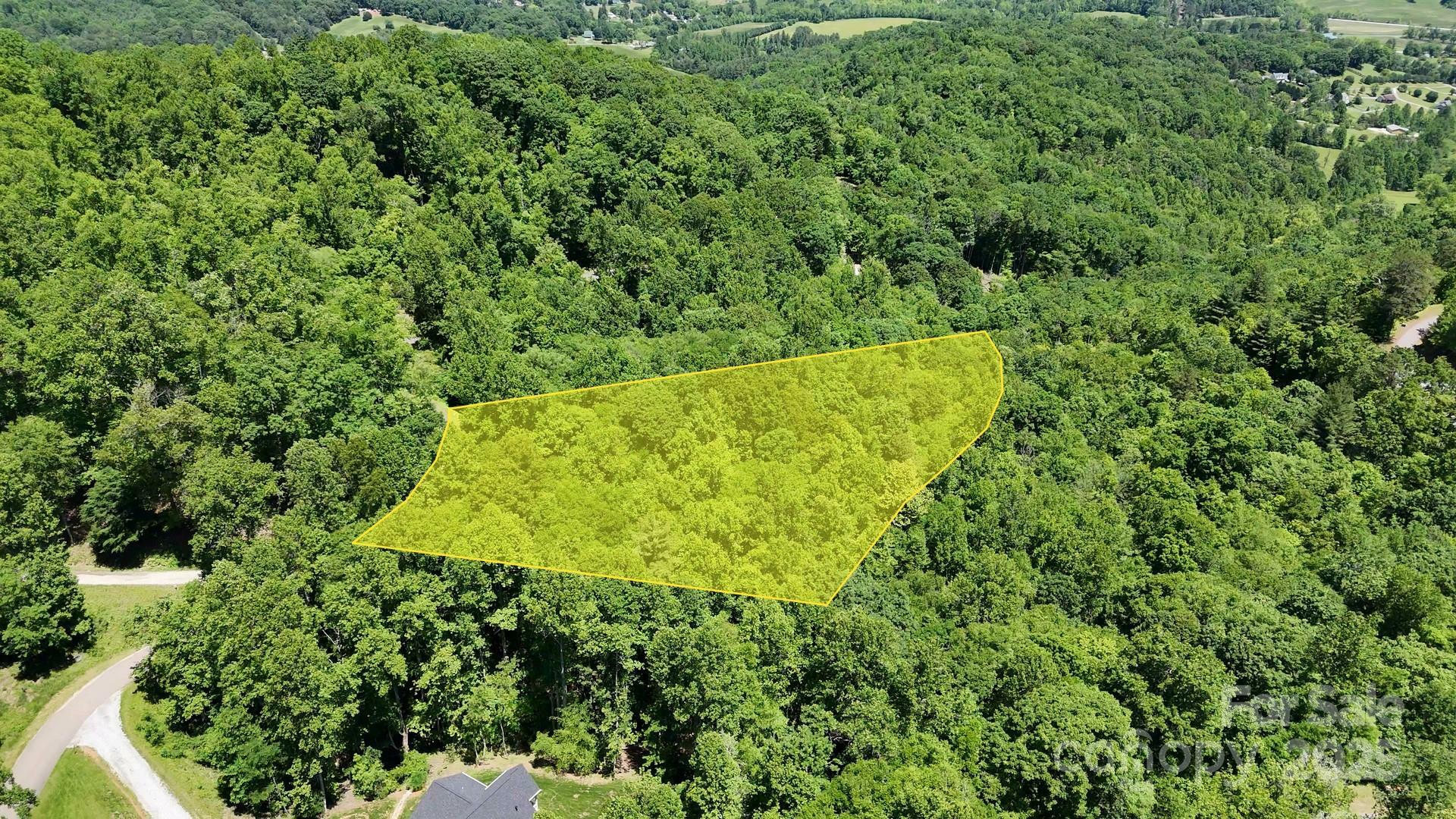 Property Photo: 0 Elkhorn Ridge Drive 46 NC 28734