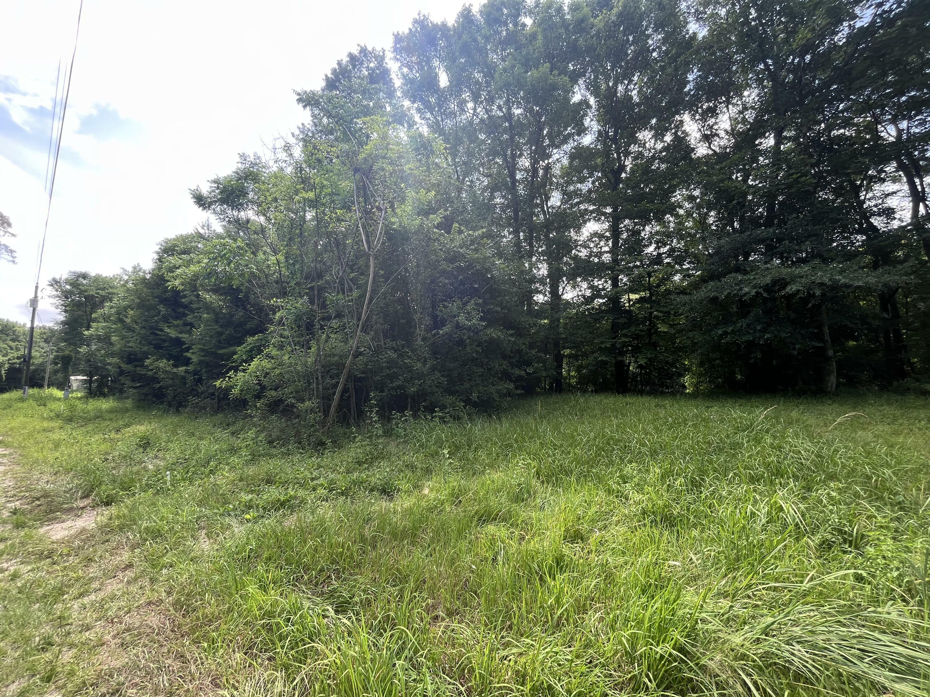 Property Photo: 000 Ann Hinton Rd. MS 39462
