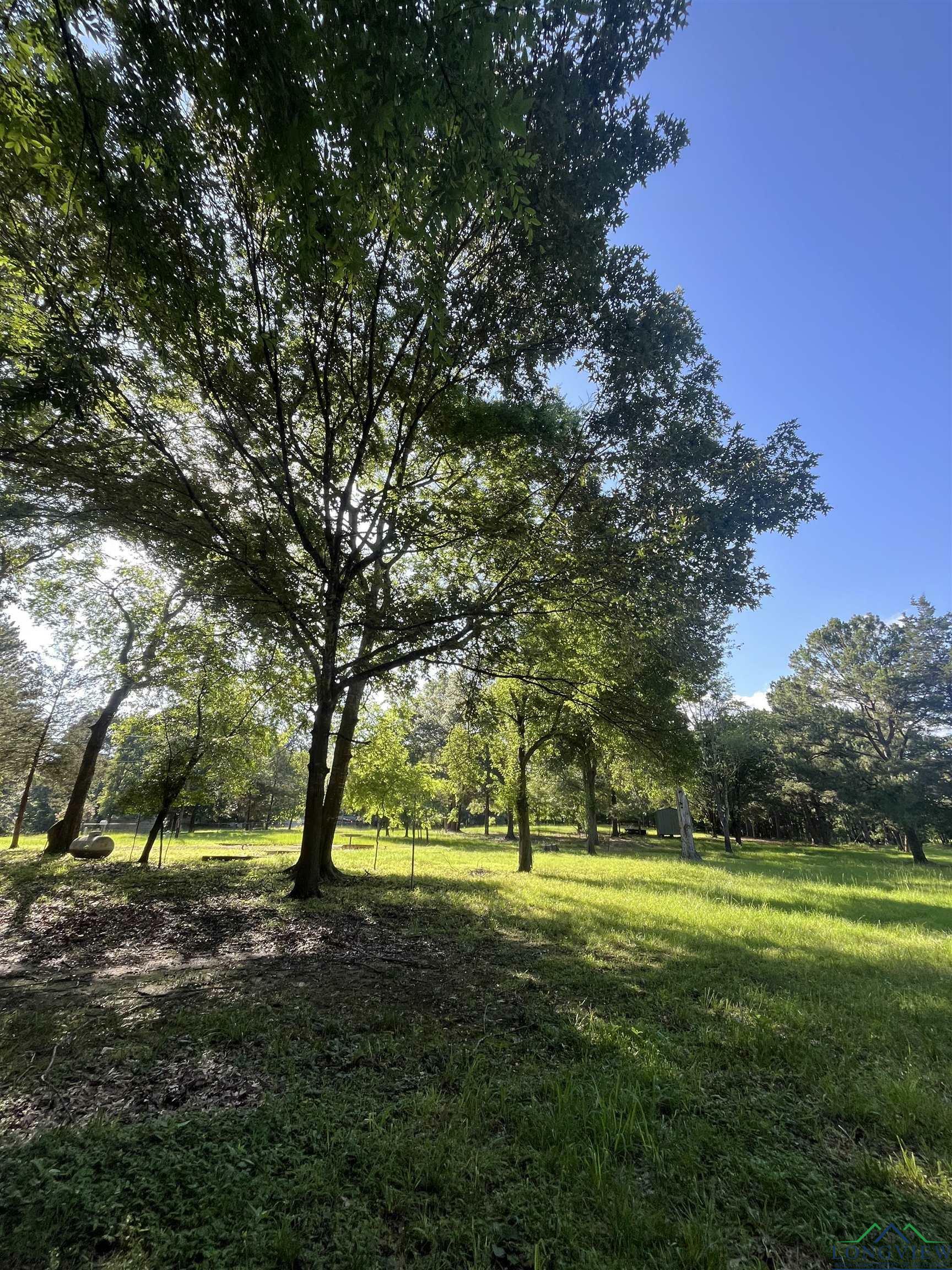 Property Photo: 459 Bass St Fm 729 TX 75630