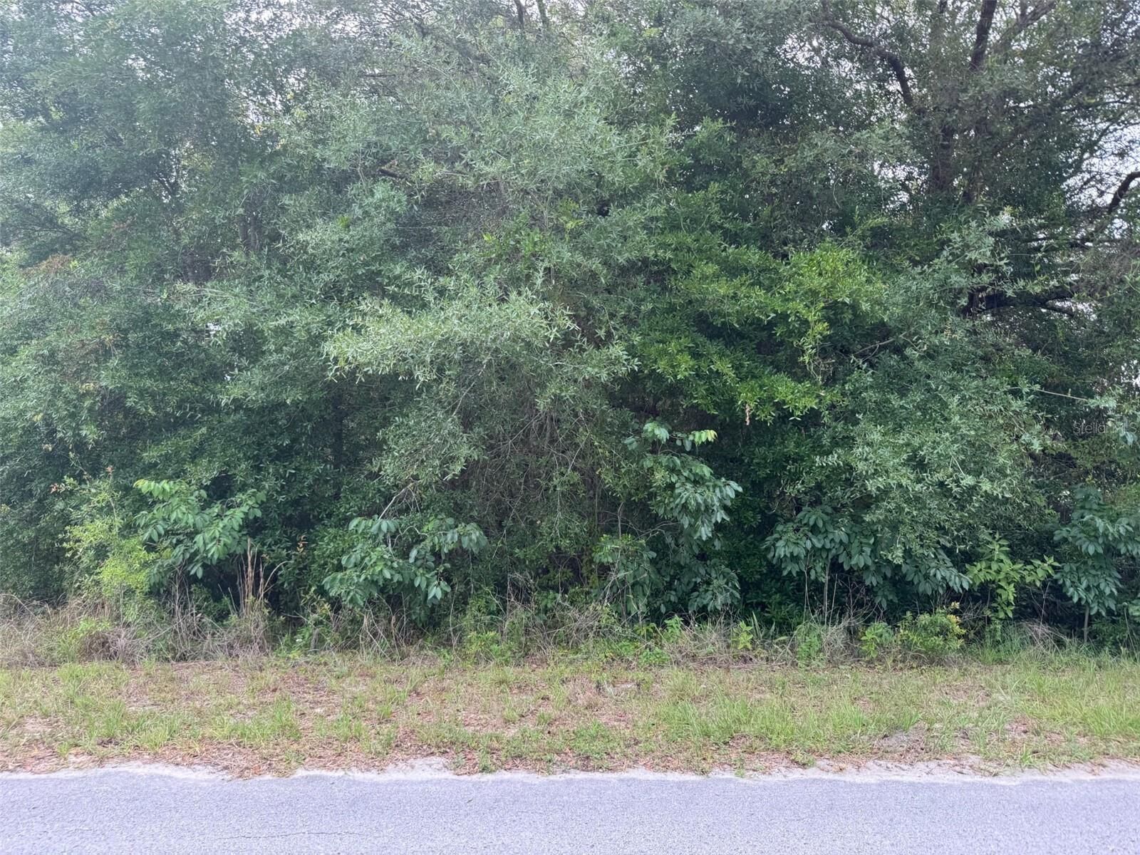 Property Photo: Lot 422 &Amp 423 SW Shorewood Drive FL 34431
