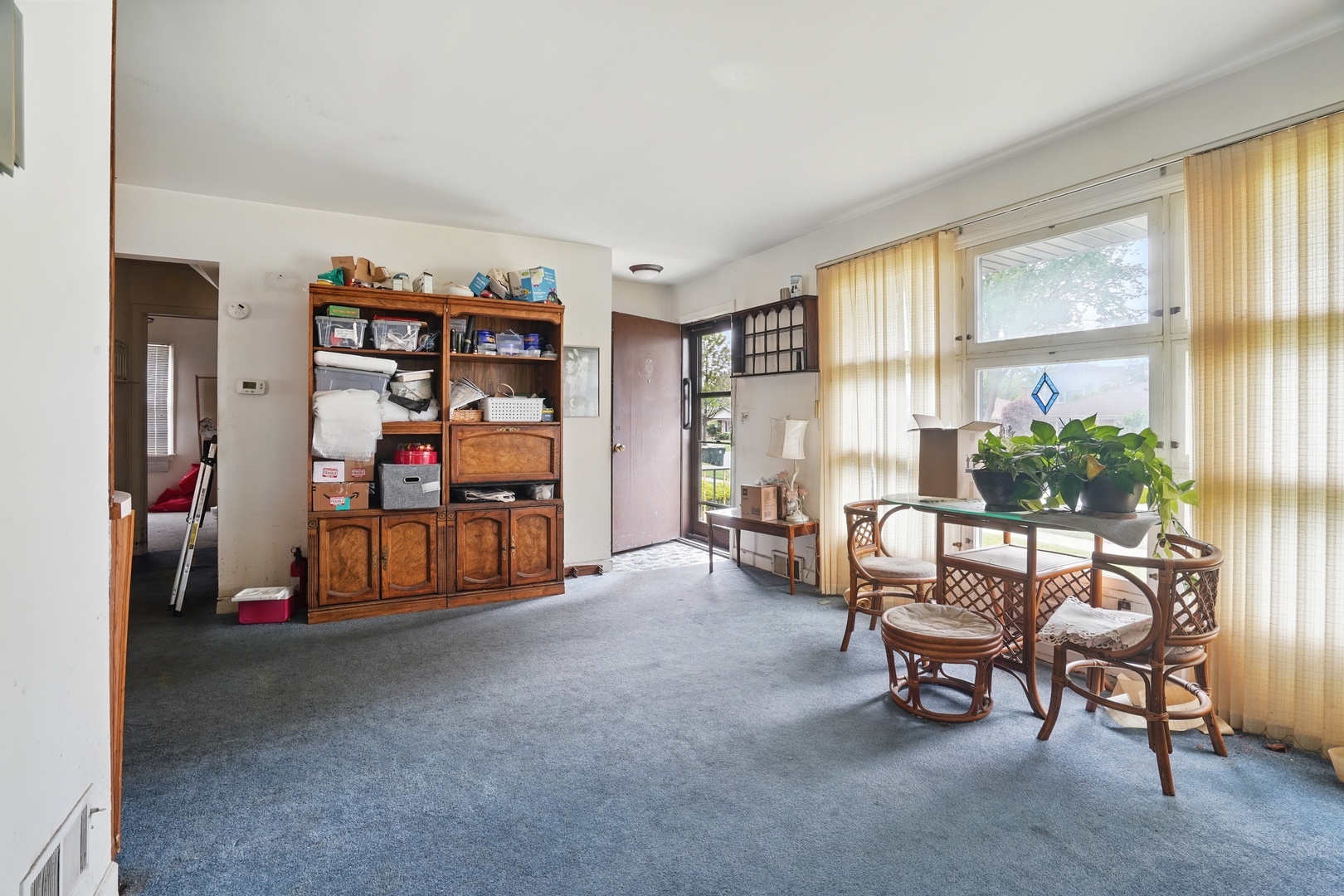 Property Photo: 241 N Hamlin Avenue IL 60068
