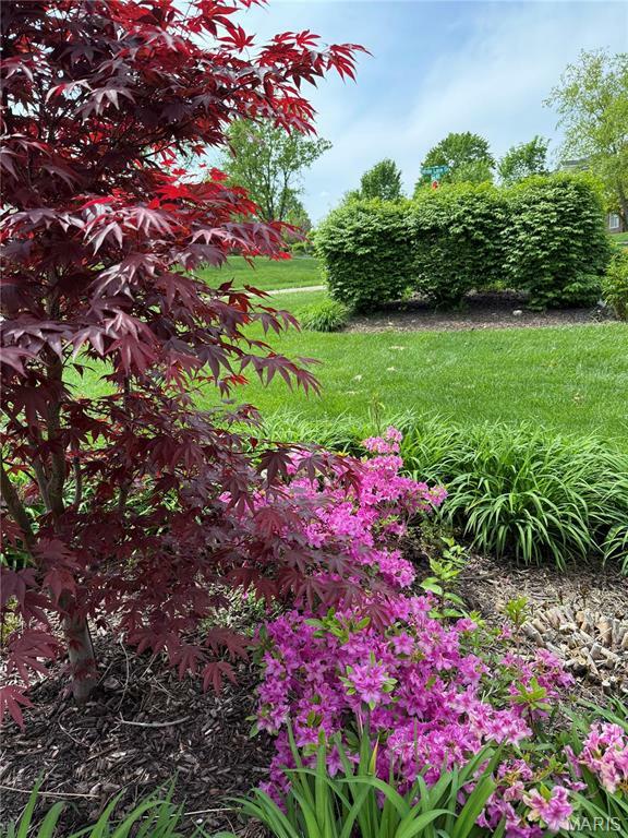 Property Photo: 14760 Brook Hill Drive MO 63017