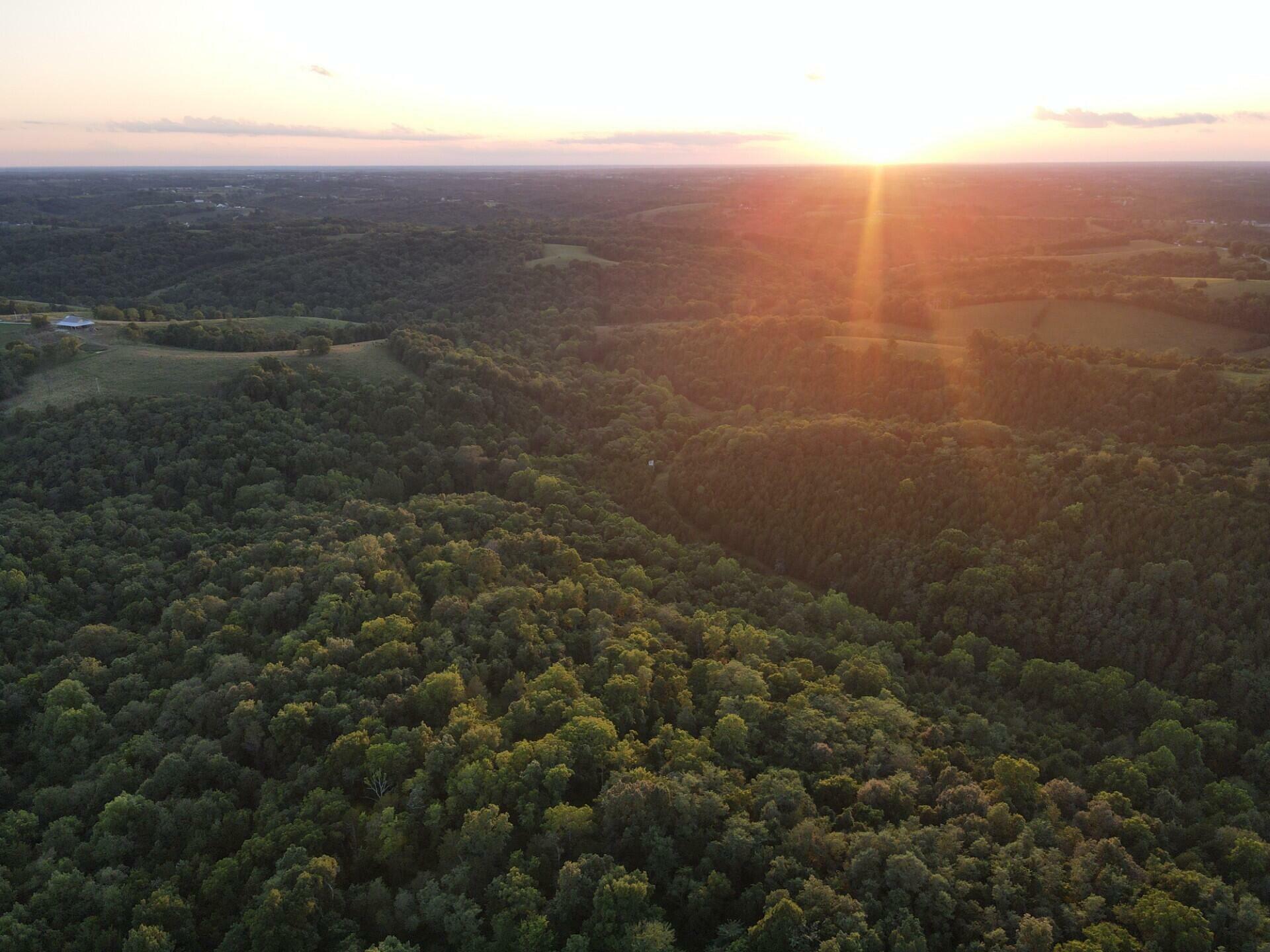 Property Photo:  138 Acres Cooper Lane  KY 41004 