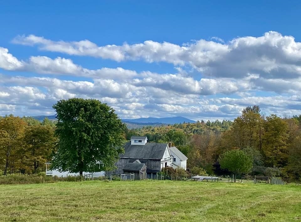 Property Photo: 24 White Brook Drive NH 03445