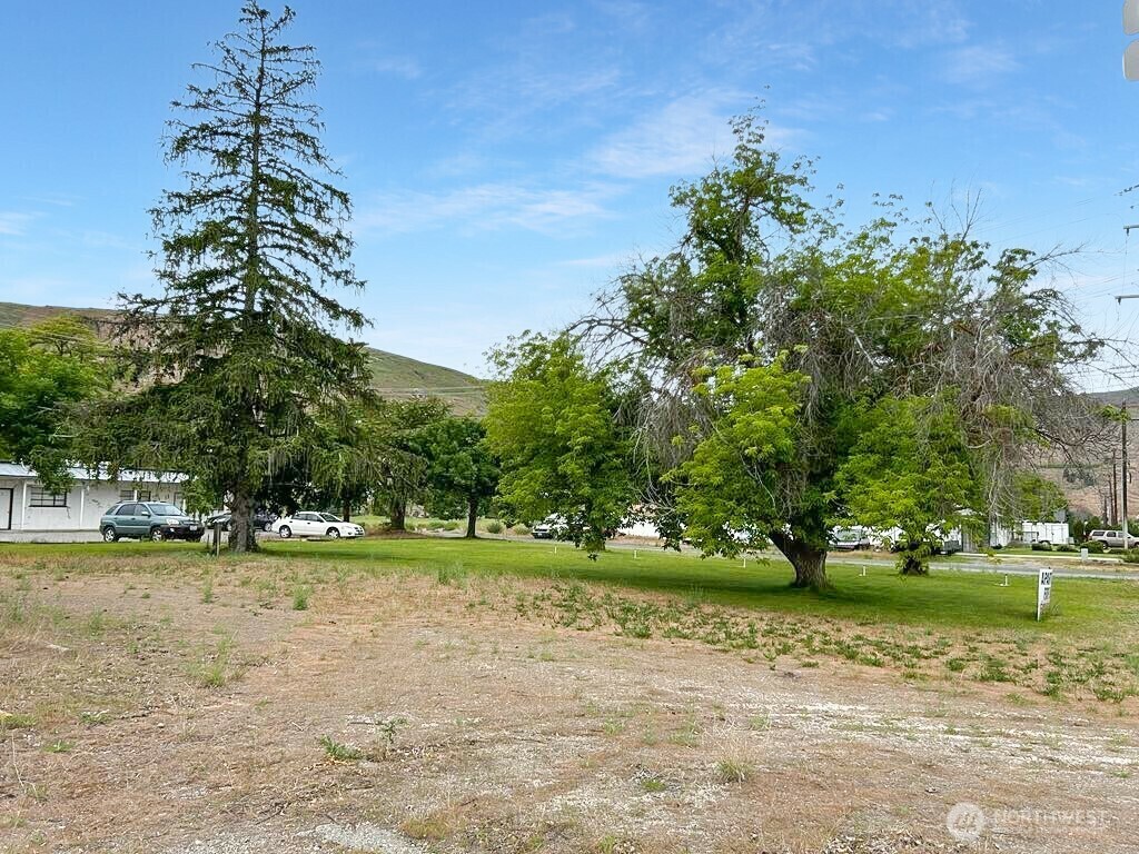 Property Photo:  0  Lot 2 Columbia Avenue  WA 98813 