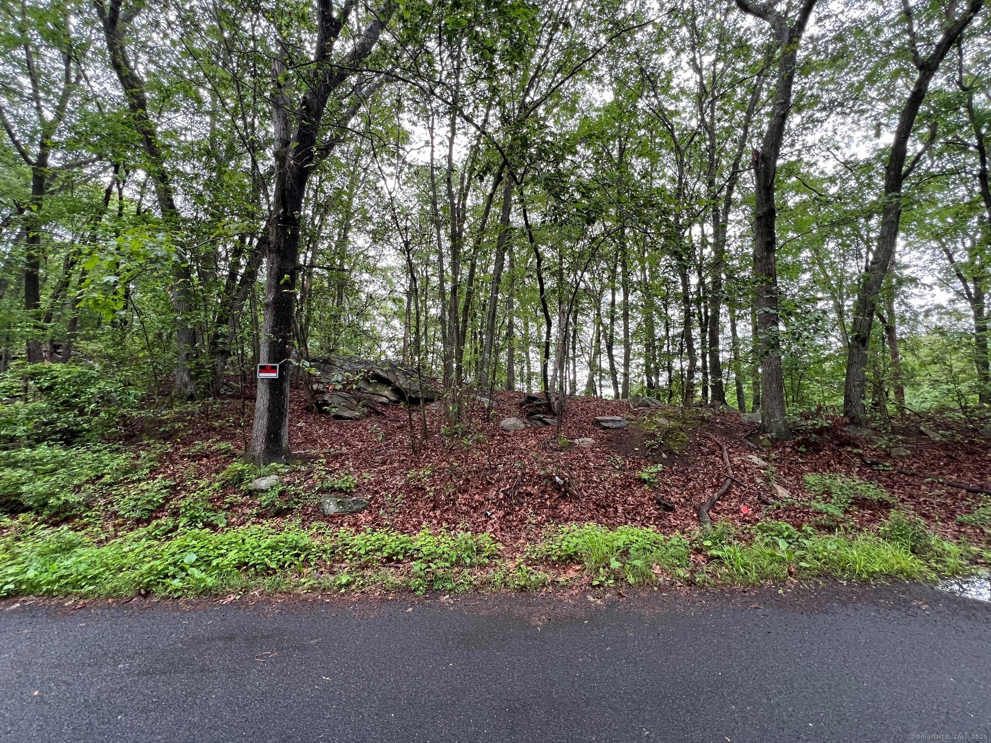 Property Photo: 92 Walnut Avenue CT 06484