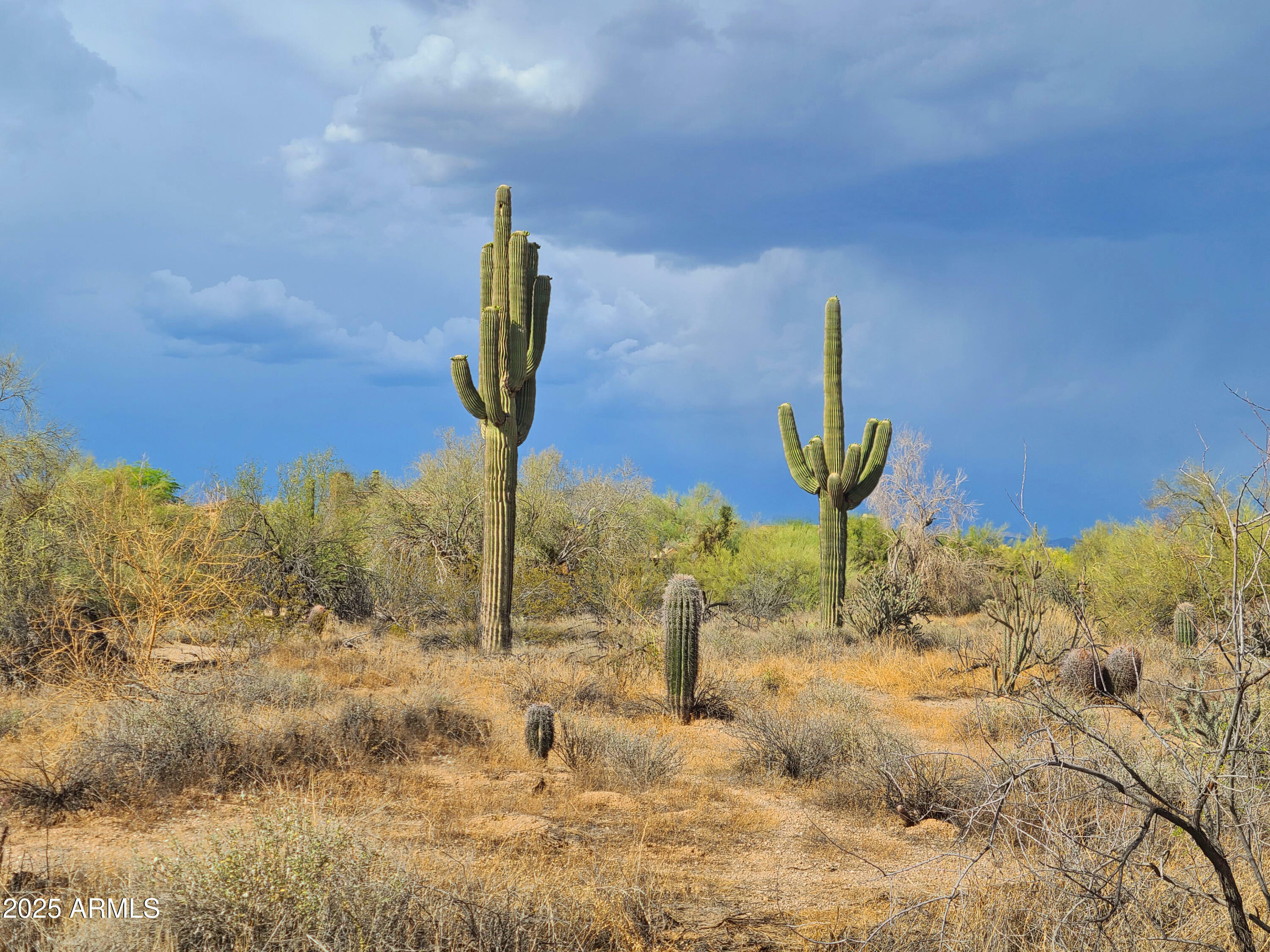 Property Photo: 5141 E Rancho Tierra Drive AZ 85331