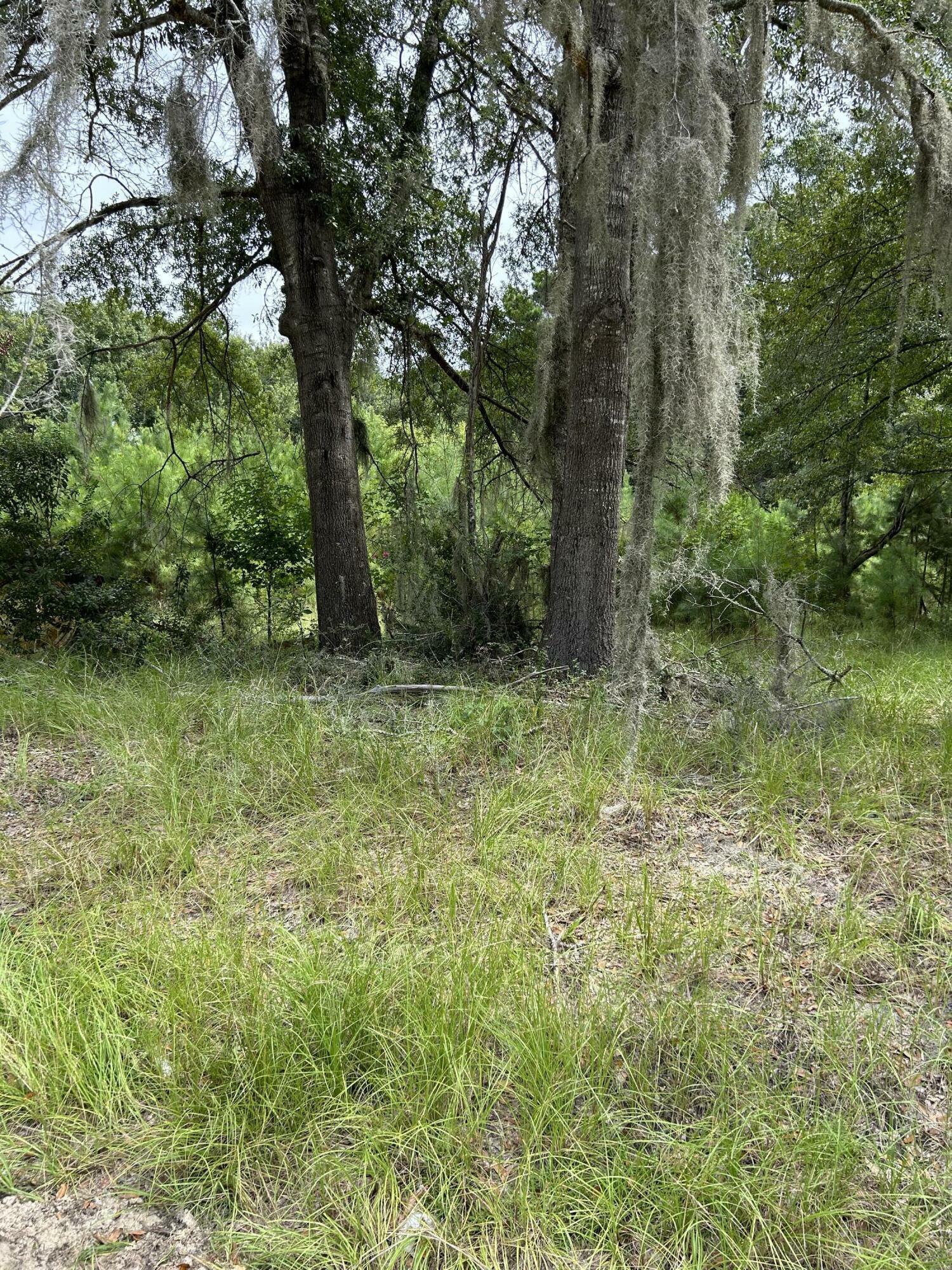 Property Photo: 1476 Hezkiah Road SC 29487