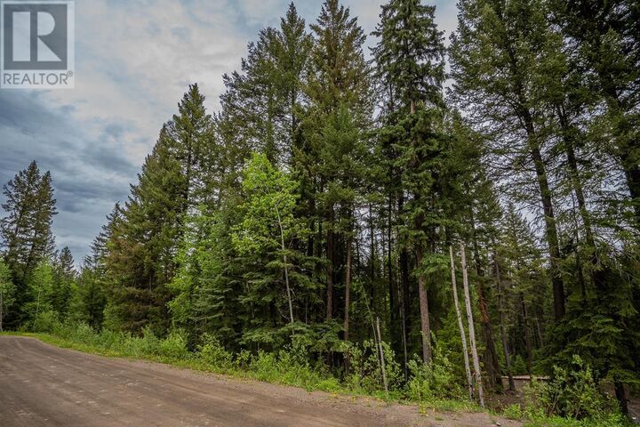 Property Photo:  Lot 88 Julsrud Road  BC V0K 1X3 