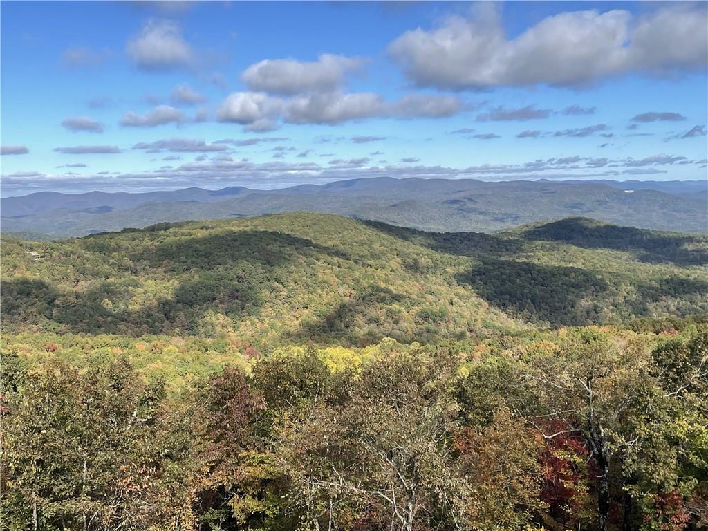 Property Photo: Lot 04 Upper Sassafras Parkway GA 30143