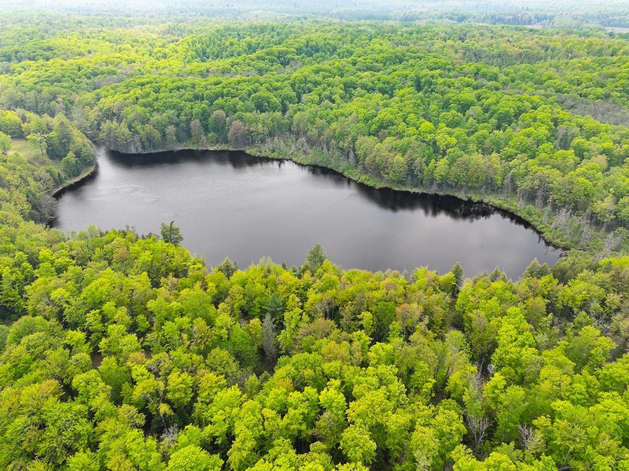 Property Photo: 8677N Davis Rd WI 54534