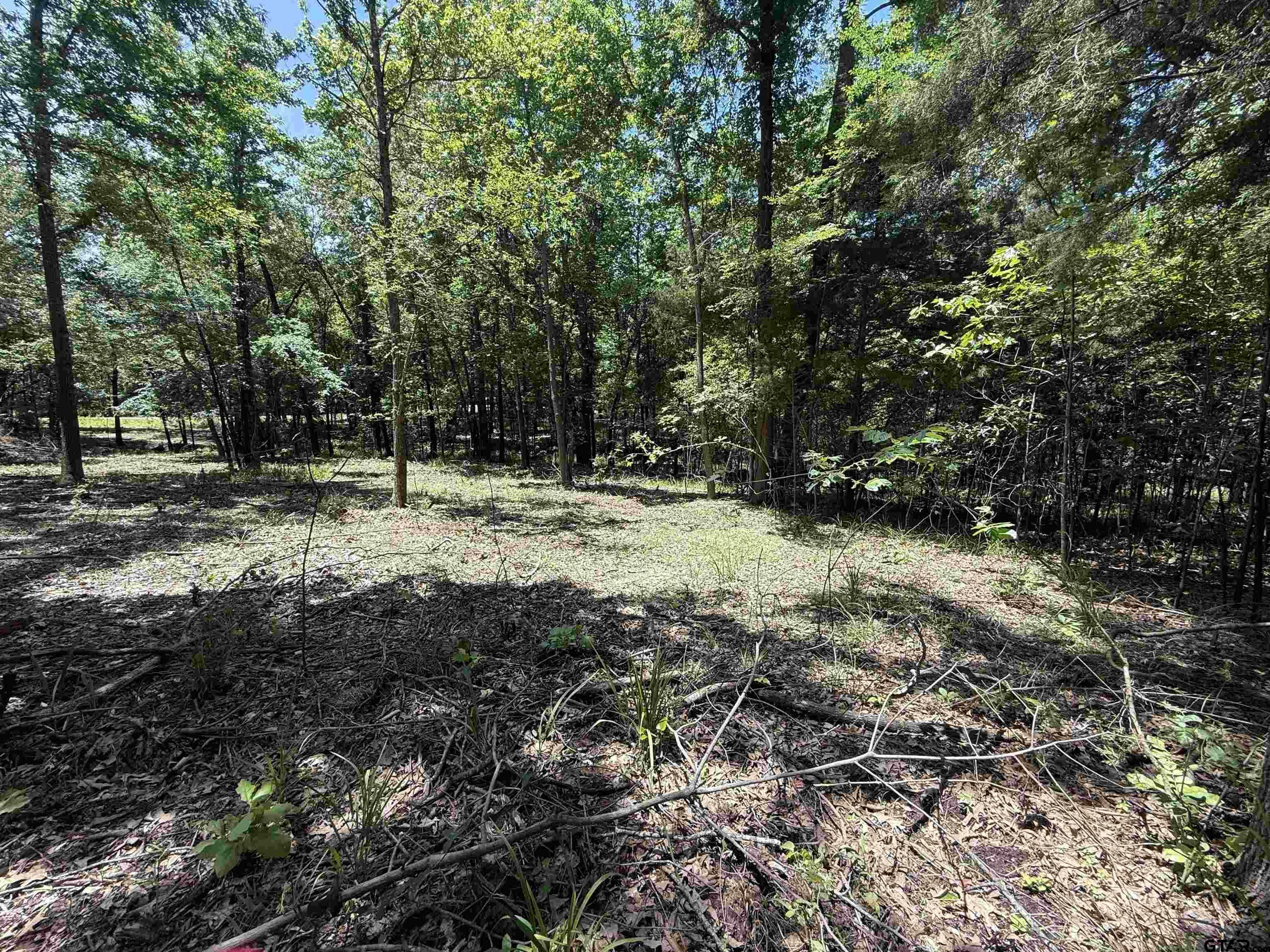 Property Photo: Tbd Pr 5861 (Lot 7) TX 75497