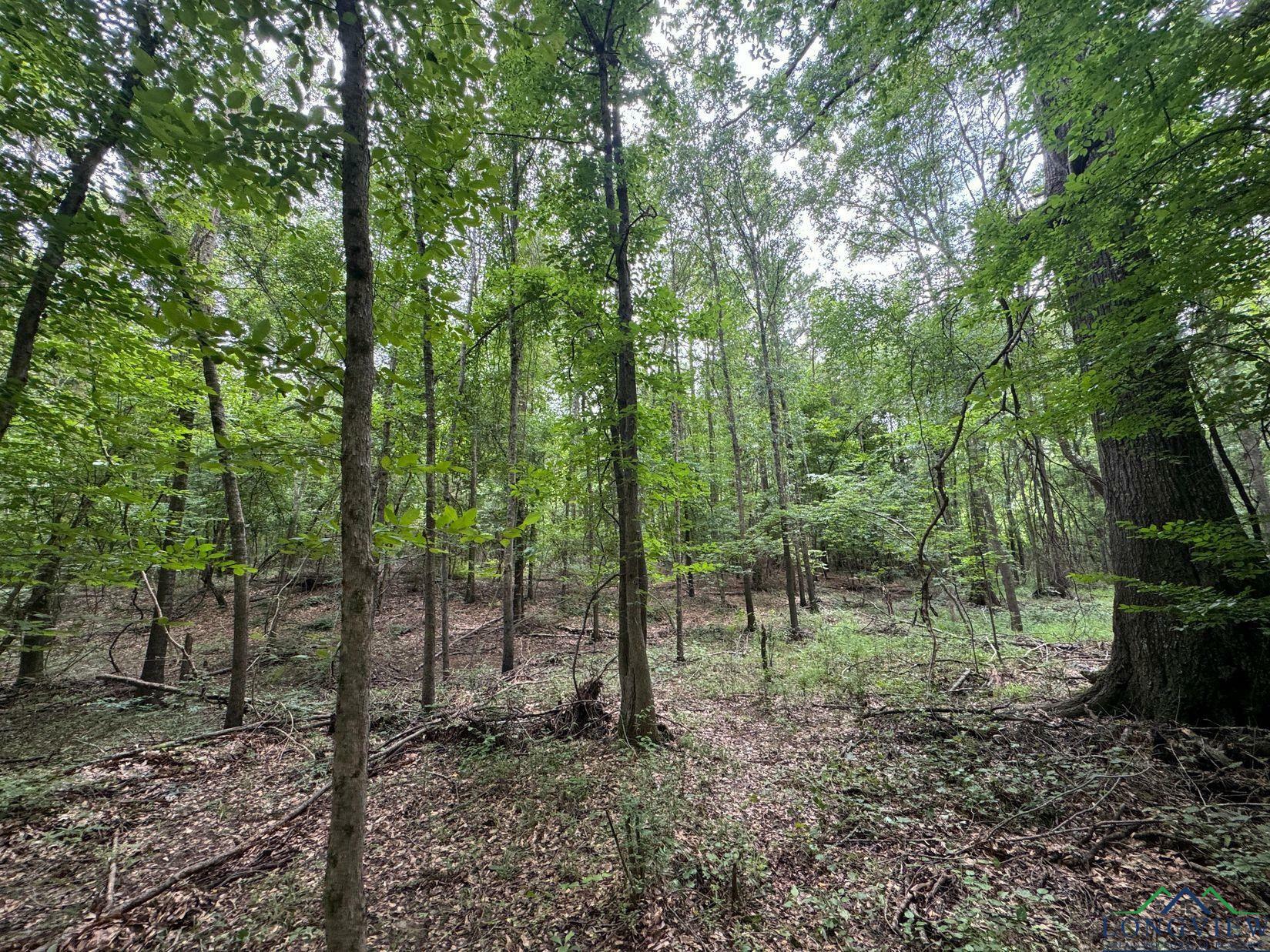 Property Photo: 0001 Fm 805 Tract 1 TX 75657