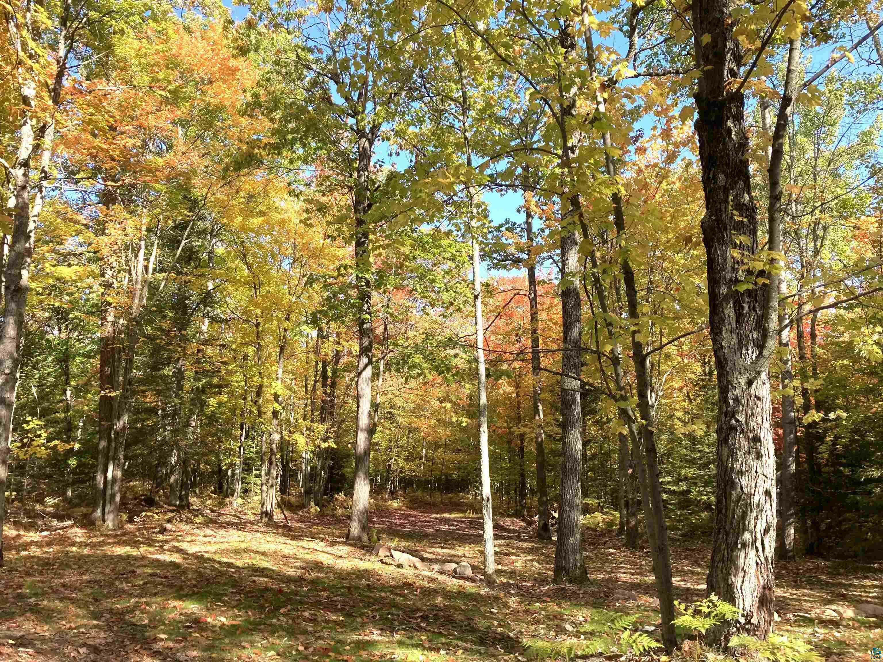Property Photo: 14334 E Eagle Ridge WI 54820
