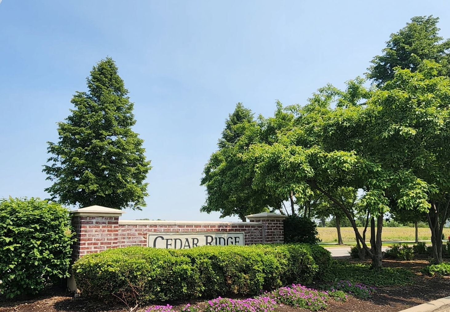 Property Photo: 15119 Laurel Lane IL 60441