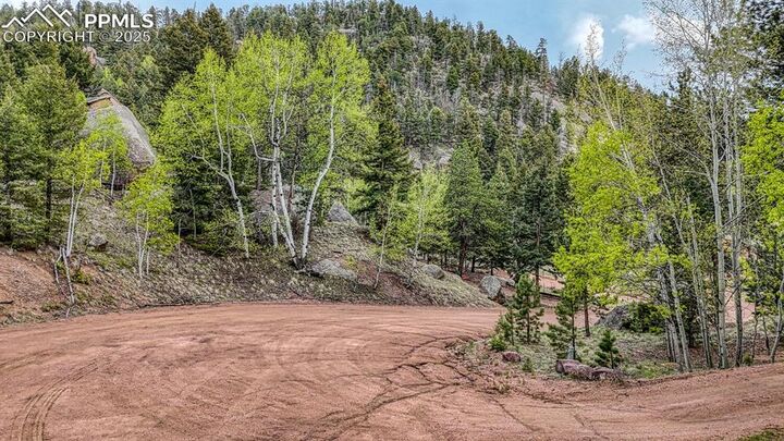 Property Photo:  918 Pinion Lane  CO 80813 