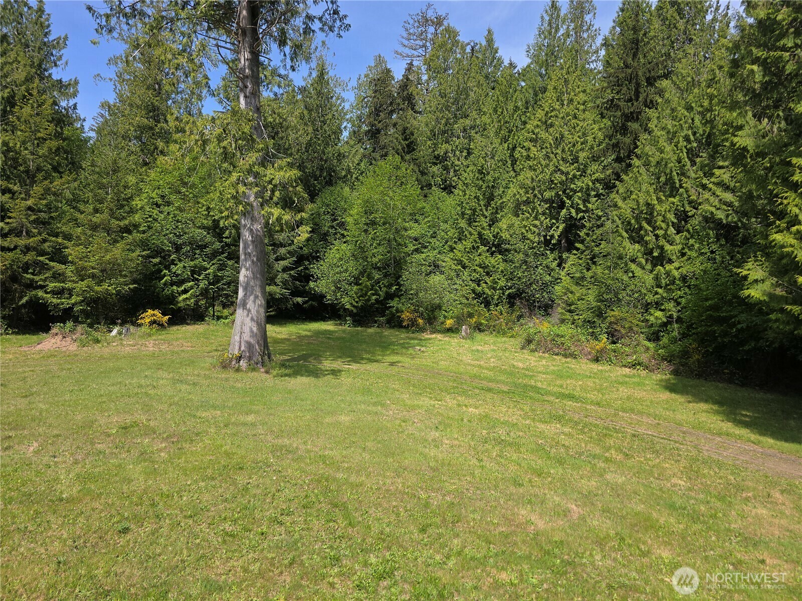 Property Photo: 142 E Strong Road WA 98584