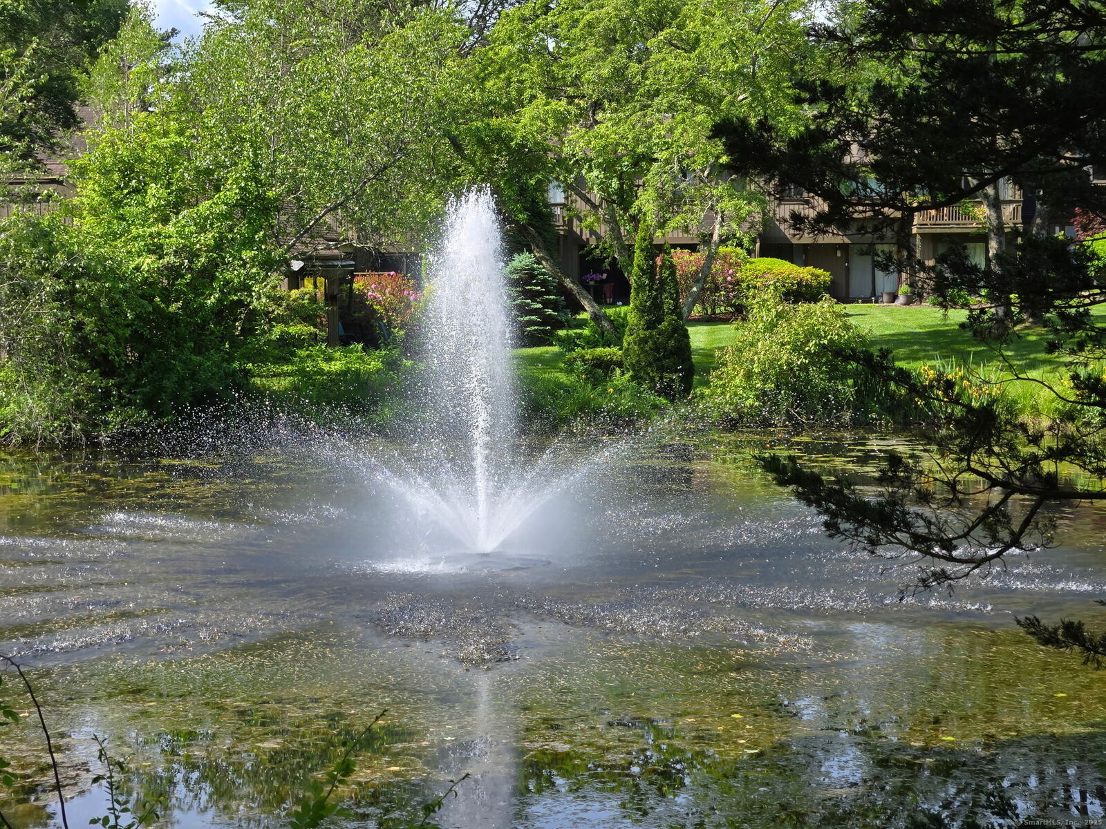 Property Photo: 501 Heritage Village A CT 06488