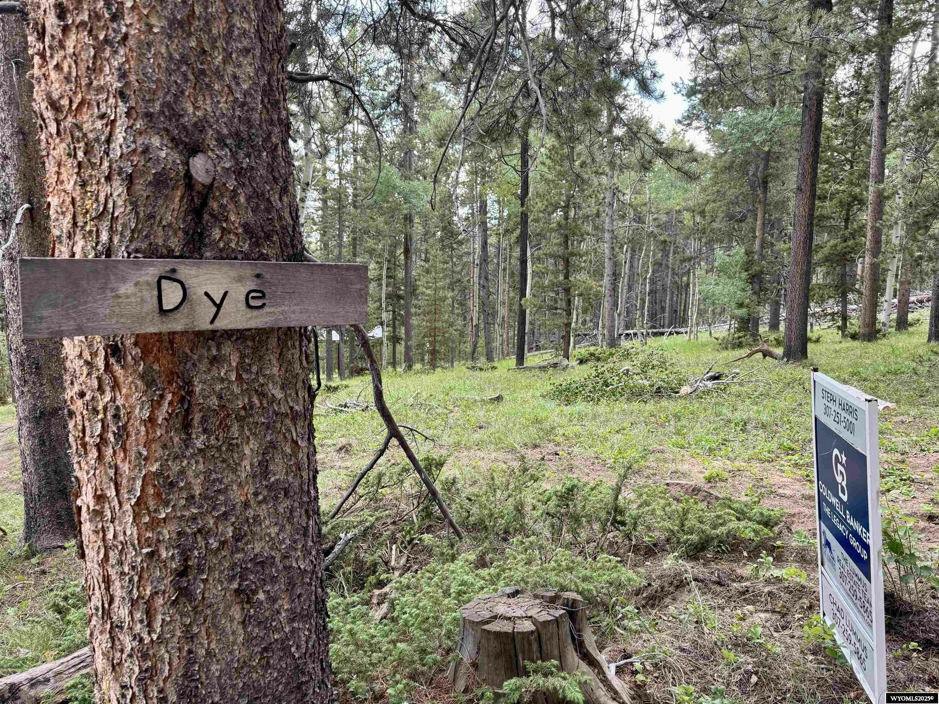Property Photo: 403 Ledge WY 82604