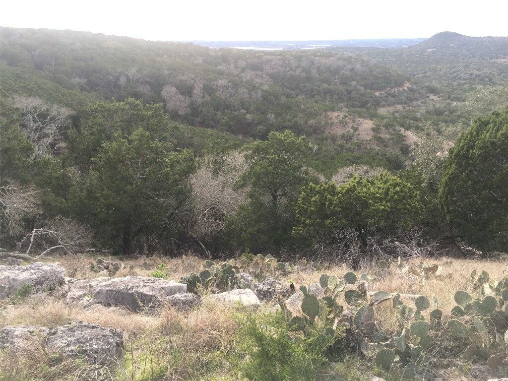 Property Photo: 1350 Serenity Drive TX 78623