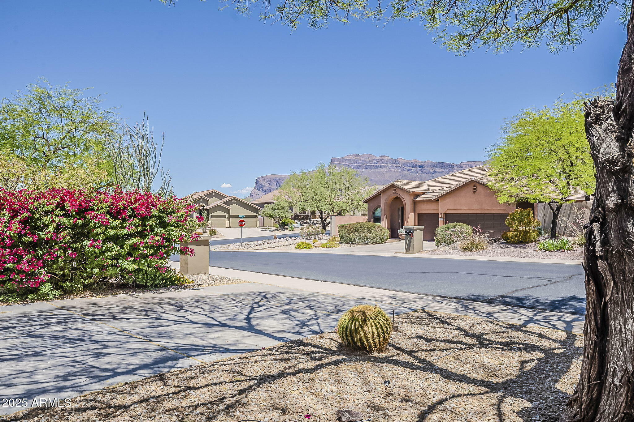 4293 S Columbine Way  Gold Canyon AZ 85118 photo