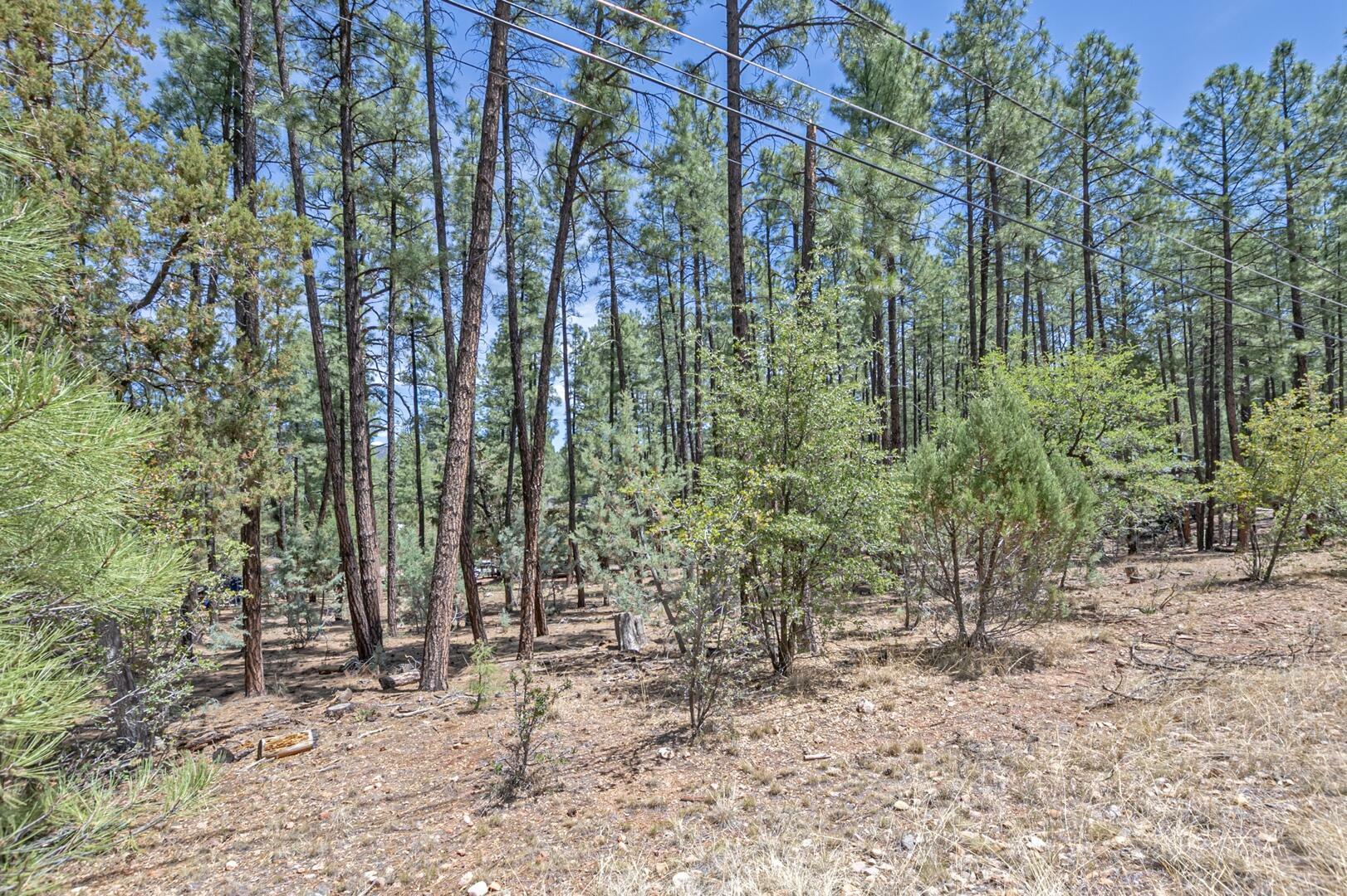 Property Photo: Lot 138 Marcy Way AZ 85544