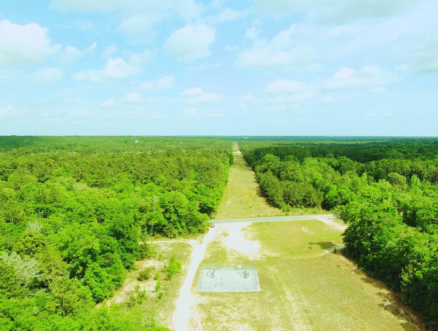 Property Photo: 7.97 Acres Lake Ella Rd Road FL 32539